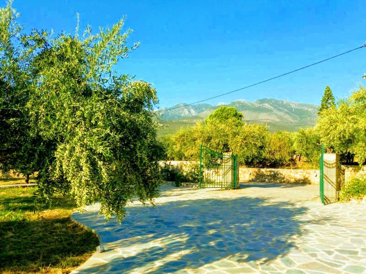 Villa Pefnos アイオス・ニコラオス エクステリア 写真