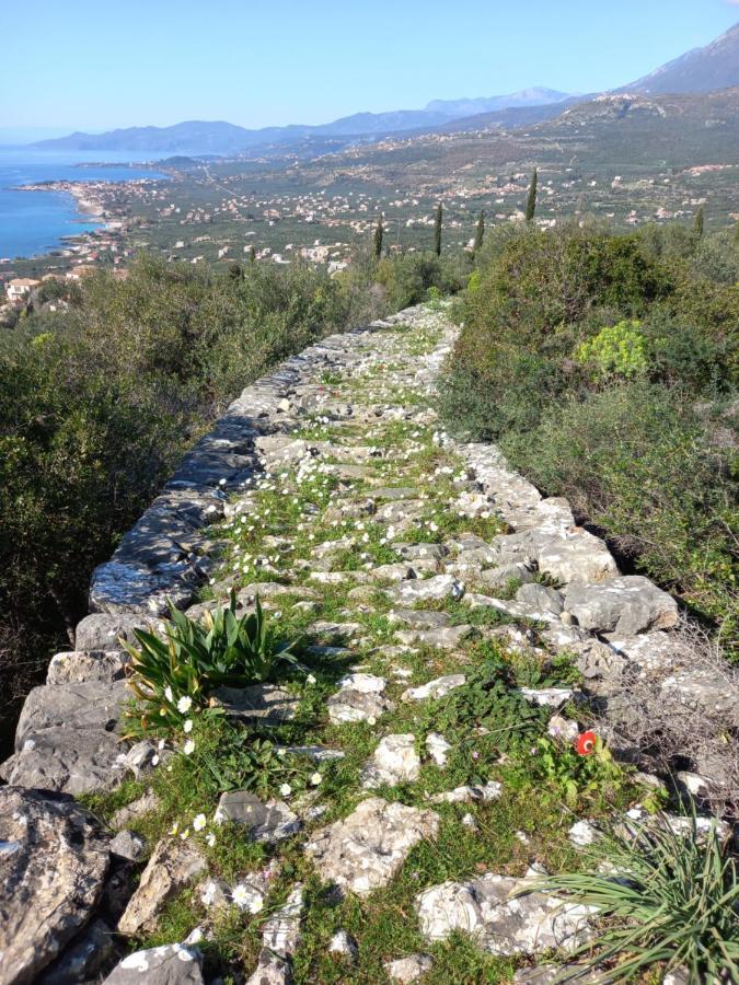 Villa Pefnos アイオス・ニコラオス エクステリア 写真