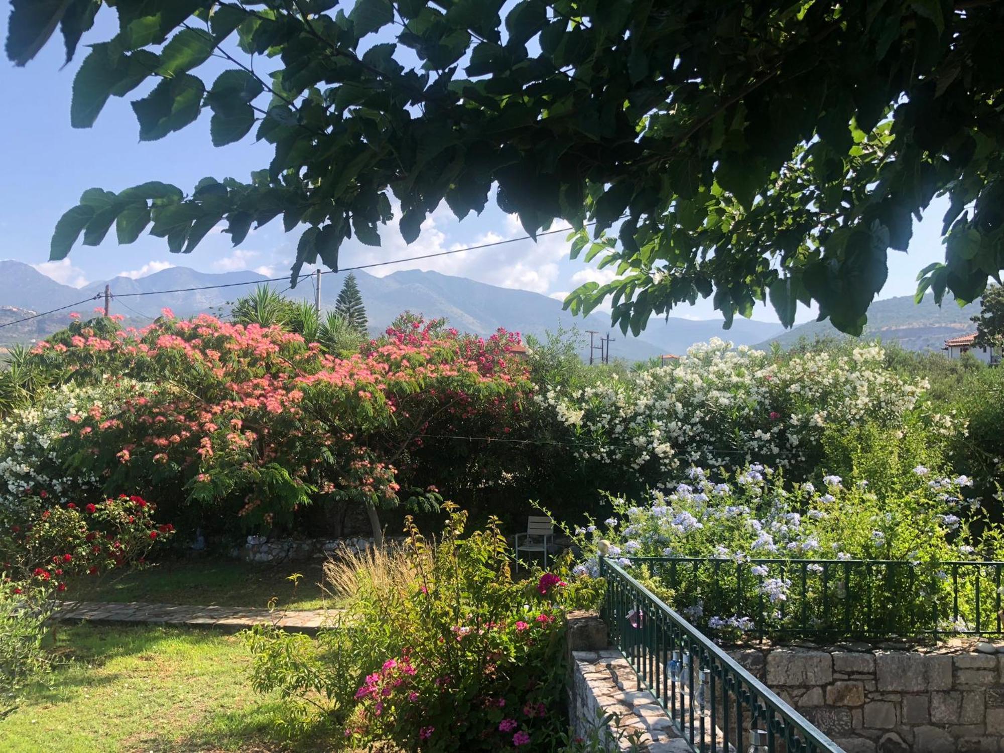 Villa Pefnos アイオス・ニコラオス エクステリア 写真