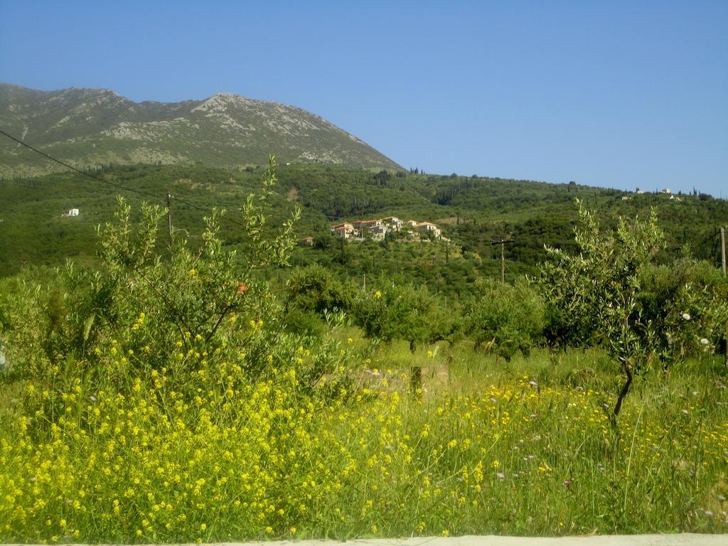 Villa Pefnos アイオス・ニコラオス エクステリア 写真